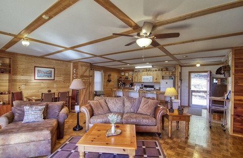 Cosby Cabin | Secluded Cabin w/HOT TUB, Woodburning Stove, VIEW on PRIVATE 2 acres