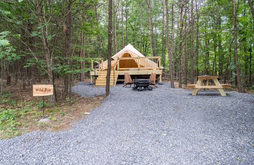 Great Cacapon RV Rental | Secluded Canvas Tent Nestled in the Trees