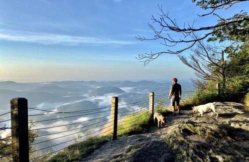 Lake Toxaway House | Secluded Delight: Unplug and Reconnect in a Special House in Lake Toxaway's Woods