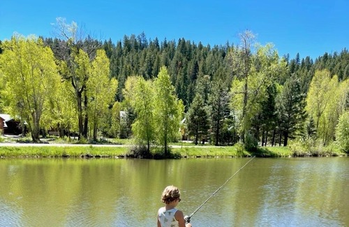 San Juan River Village Cabin | Secluded family cabin in the heart of the San Juan Mountains