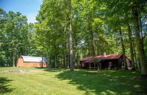 Avoca Cabin | Secluded Log Cabin with walking trails in Howard NY -New in 2023-