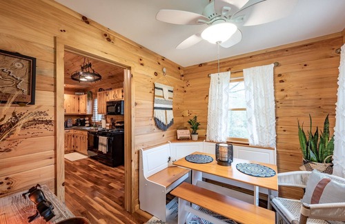 Robbinsville Cabin | Secluded Mountain Getaway! Hot tub! TailofDragon