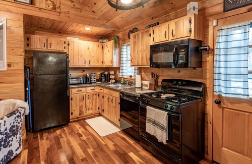 Robbinsville Cabin | Secluded Mountain Getaway! Hot tub! TailofDragon
