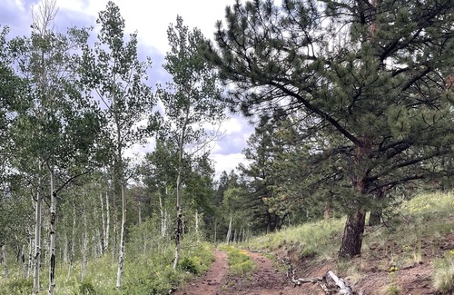 Chaffee County Cabin | Secluded, Off-Grid Mountain Retreat w/ Spectacular Views