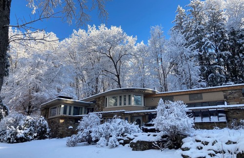Emporium House | Secluded, organic modern 3-bedroom home in wooded setting.