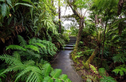 Royal Hawaiian Estates House | Secluded, Quiet Escape Close to National Park on 3 acres