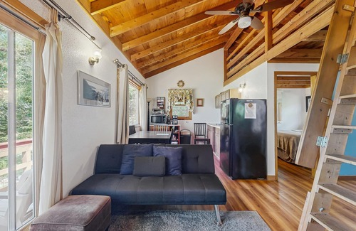 Stone Haven Cabin | Secluded Sunset Point mountain top cabin, wifi, Dish TV, firepit