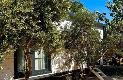 Alacati House | Secret Garden Alaçatı