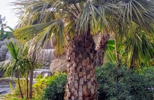 Saint-Sylvestre Apartment | Secret garden, ideal for 2,large terrace