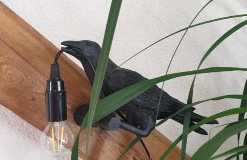 Senftenberg Apartment | SeenSucht & Urlaubsträume, Ferienwohnung "Strand-Romantik"