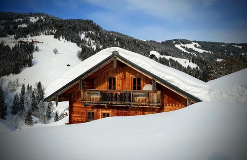 Dorf Dienten House | Selbstversorgerhütte Nösslau Alm