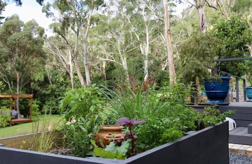 Mittagong Cottage | Self Contained Cottage in Bowral with Fireplace