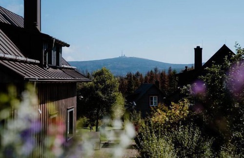 Torfhaus House | Semi-detached houses, turf house
