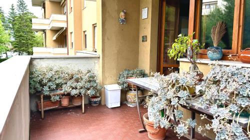 Senigallia Apartment | Senigallia, ampio quadrilocale con doppi servizi e terrazzo - SE092