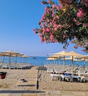 Okurcalar Hotel | Sentido Lycus Beach Hotel