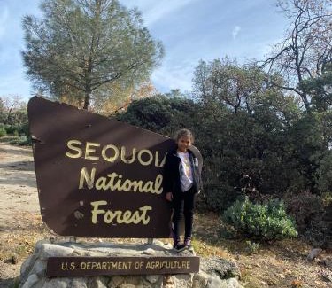 Posey House | Sequoia National Forest CabinM