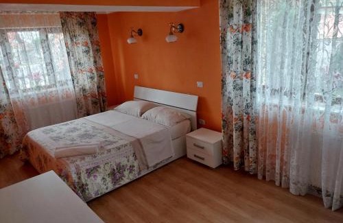 Cartisoara House | Serena House