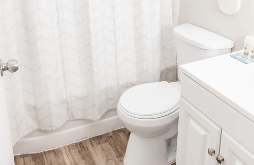 St. Louis Apartment | Serene Apt Near Mercy Hospital & SLUH