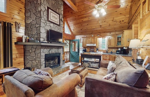 Mineral Bluff Cabin | Serene dog-friendly cabin w/hot tub under the stars & waterview