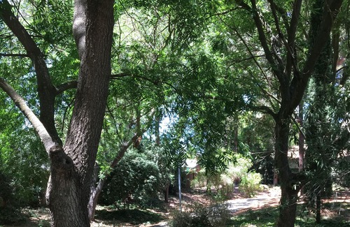 Covell Park House | SERENE GREENBELT lOCATON