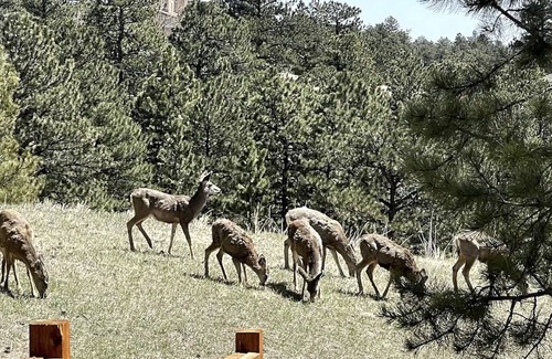 Boulder House | Serene Mountain Retreat Close to Pearl St and CU