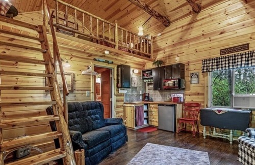 Castle Rock Cabin | Serene Sky Cabin in Castle Rock. 1bed/1bath + a loft , private, pet friendly