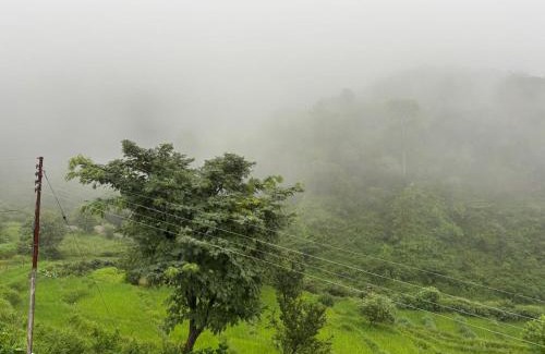 Gunehr Cabin | Serene Stay Baijnath