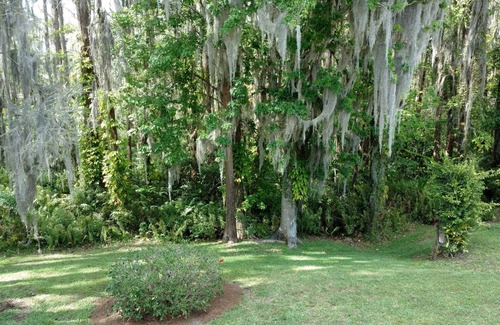 Paradise Lakes Condo | Serenity At Paradise Lakes - Clothing optional community