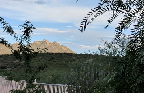 Rio Rico House | Serenity in Sunny Arizona with tons of birds and shade trees! Bike Trail Galore