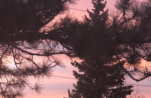 Ponderosa Pines House | Set up your basecamp at MacCabin