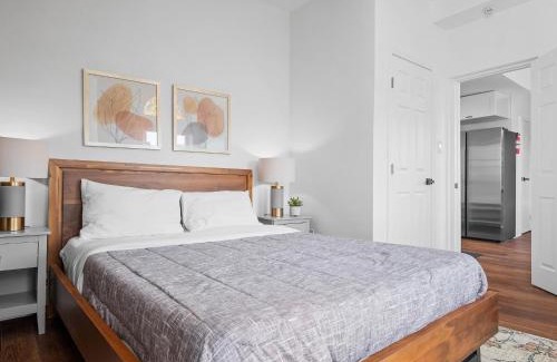 Shadyside Apartment | Shadyside, Pittsburgh, Modern and Bright 1 Bedroom Unit4 with Free Parking
