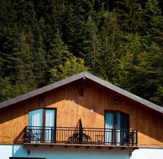 Likani Hotel | Shale Tsagveri