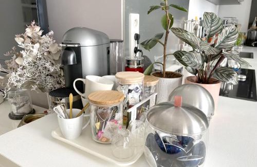 Quartier du Port House | Shared Duplex Apartment Nice-Port