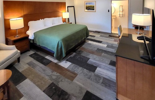 Shelton Hotel | Shelton Inn