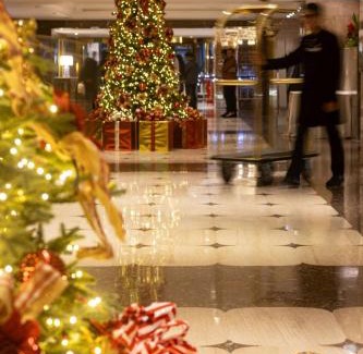 Colonia Cuauhtemoc Hotel | Sheraton Maria Isabel Mexico City Reforma
