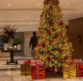 Colonia Cuauhtemoc Hotel | Sheraton Maria Isabel Mexico City Reforma