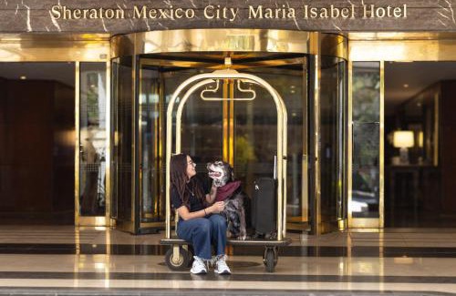 Colonia Cuauhtemoc Hotel | Sheraton Maria Isabel Mexico City Reforma