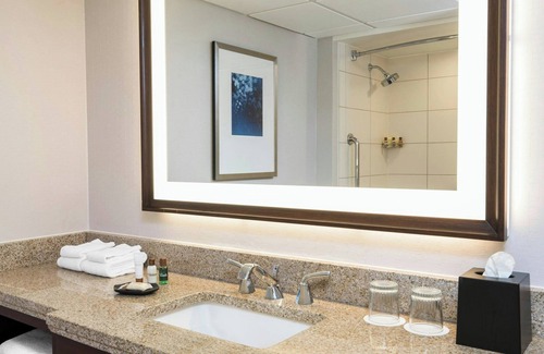 Pinch District Hotel | Sheraton Memphis Downtown Hotel