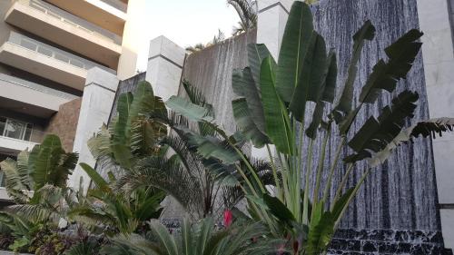 Heliopolis Apartment | Sheraton Ocean 401 - No Pool Access