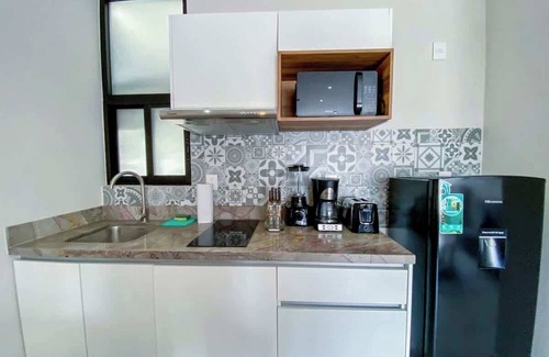 Luis Donaldo Colosio Apartment | Shiny Studio on 5th Ave w/Pool+Gym Steps to Beach