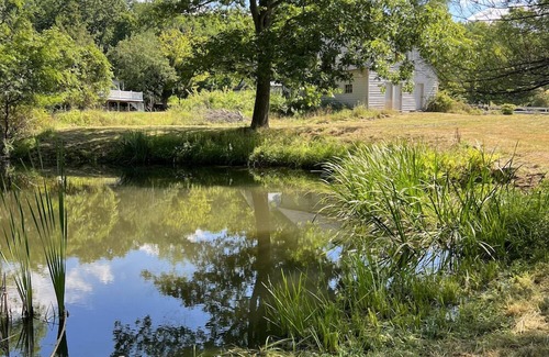 Freehold House | Shipley Cottage