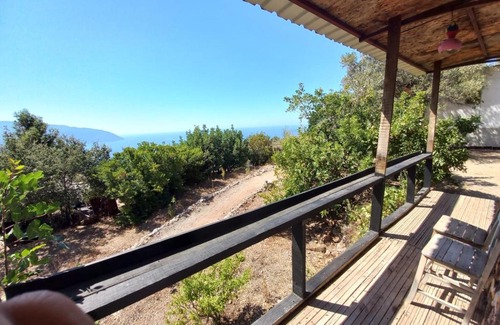 Faralya Other | Shiva Camp Kabak