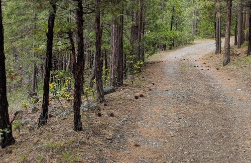 Weed Cottage | Shivangini Cottage at Healing Waters of Shasta