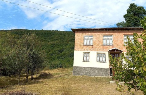 Ambrolauri House | Sholedani