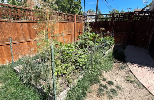 East Central House | Short drive from downtown in a friendly neighborhood! Pet Friendly