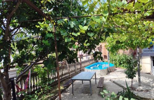Borjomi House | Shota's Guest House