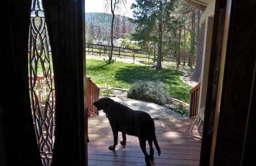 Oakhurst House | SIERRA ESCAPE! SPACIOUS COUNTRY HOUSE WITH POOL & SPA-20 MINUTES FROM YOSEMITE!