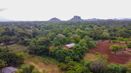 Sigiriya Hotel | Sigiriya Cottage