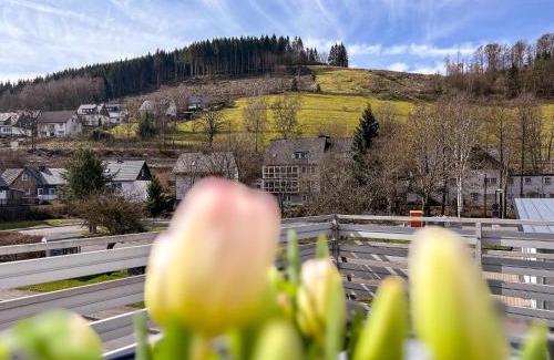 Silbach House | Silbach Panorama Lodge