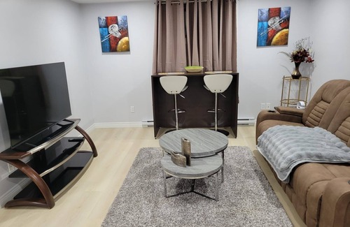 Moncton House | Silk basement studio